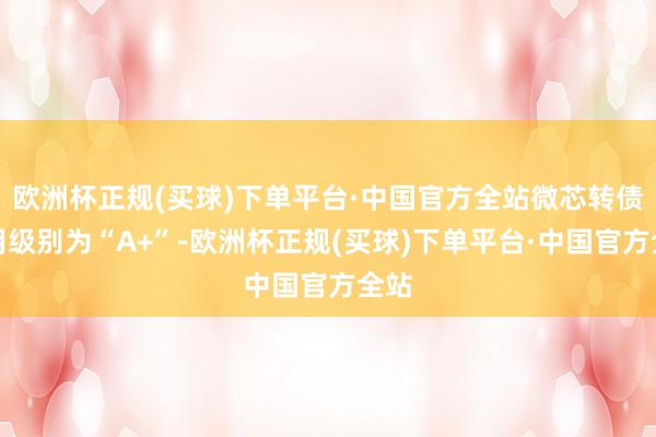 欧洲杯正规(买球)下单平台·中国官方全站微芯转债信用级别为“A+”-欧洲杯正规(买球)下单平台·中国官方全站