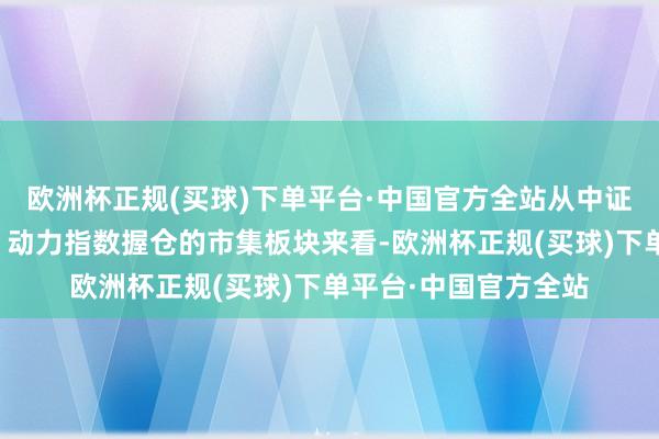 欧洲杯正规(买球)下单平台·中国官方全站从中证外洋股（不含台湾）动力指数握仓的市集板块来看-欧洲杯正规(买球)下单平台·中国官方全站