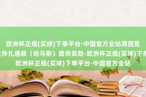 欧洲杯正规(买球)下单平台·中国官方全站原因是其为巴勒斯坦伊斯兰挣扎通顺（哈马斯）提供资助-欧洲杯正规(买球)下单平台·中国官方全站