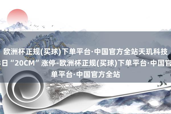 欧洲杯正规(买球)下单平台·中国官方全站天玑科技股价13日“20CM”涨停-欧洲杯正规(买球)下单平台·中国官方全站