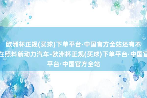 欧洲杯正规(买球)下单平台·中国官方全站还有不少顾主在照料新动力汽车-欧洲杯正规(买球)下单平台·中国官方全站