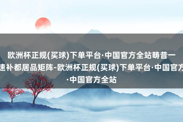 欧洲杯正规(买球)下单平台·中国官方全站畴昔一年快速补都居品矩阵-欧洲杯正规(买球)下单平台·中国官方全站