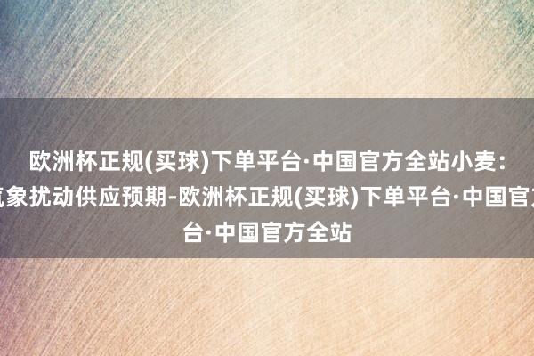 欧洲杯正规(买球)下单平台·中国官方全站小麦：地缘气象扰动供应预期-欧洲杯正规(买球)下单平台·中国官方全站