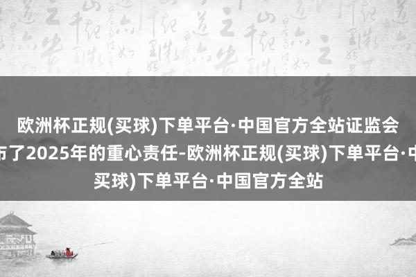 欧洲杯正规(买球)下单平台·中国官方全站　　证监会1月13日公布了2025年的重心责任-欧洲杯正规(买球)下单平台·中国官方全站