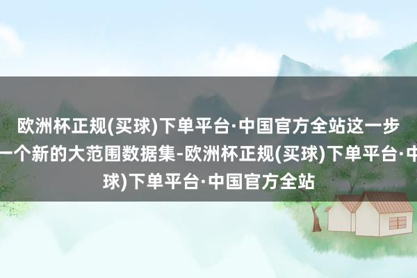 欧洲杯正规(买球)下单平台·中国官方全站这一步波及到编排一个新的大范围数据集-欧洲杯正规(买球)下单平台·中国官方全站